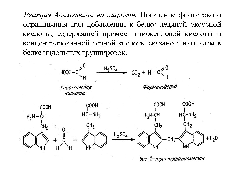 Реакция Адамкевича на тирозин. Появление фиолетового окрашивания при добавлении к белку ледяной уксусной кислоты,